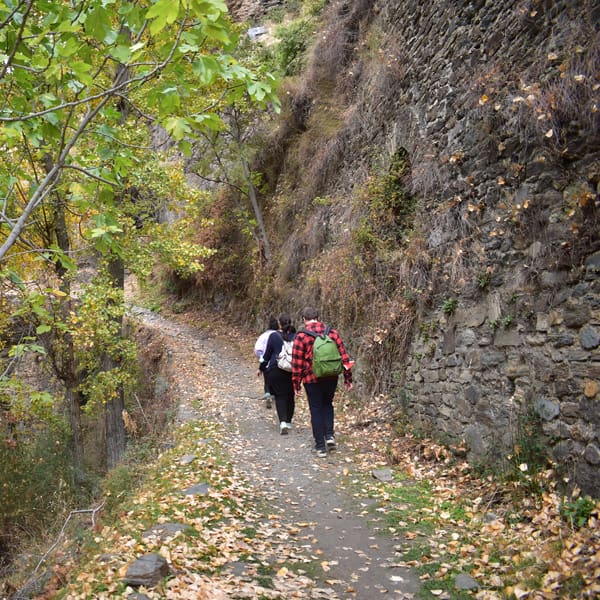 Rutas turismo Granada | Ecoturismo activo | Ocio Granada - Producto (es) Senderismo - Tranvia - Tranvia 2