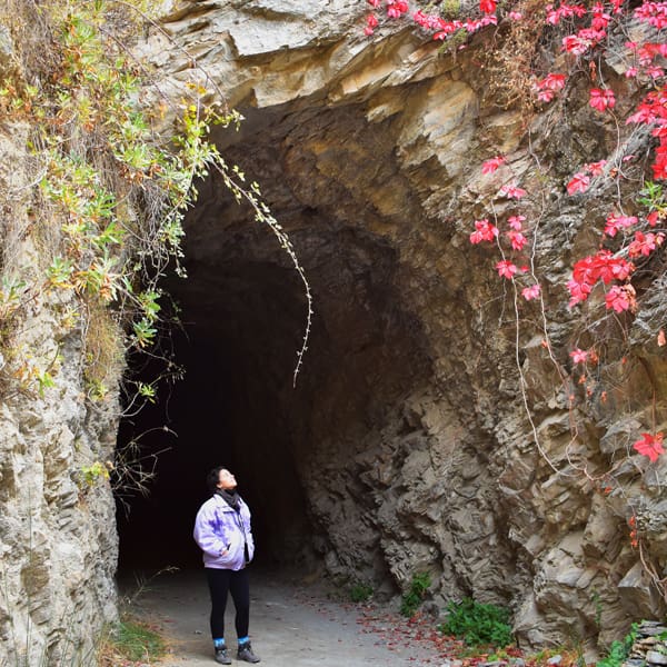 Rutas turismo Granada | Ecoturismo activo | Ocio Granada - Producto (es) Senderismo - Tranvia - Tranvia 3
