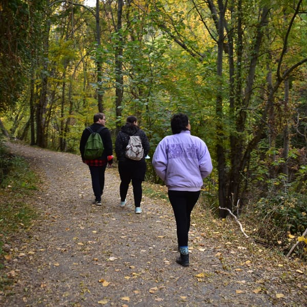 Rutas turismo Granada | Ecoturismo activo | Ocio Granada - Producto (es) Senderismo - Tranvia - Tranvia 4