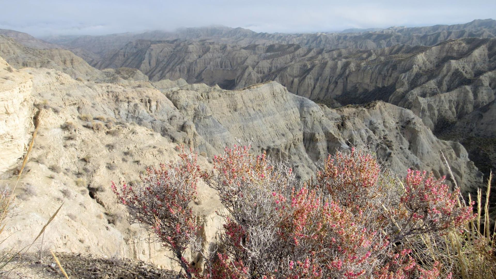 Rutas turismo Granada | Ecoturismo activo | Ocio Granada - Producto (en) Bike - Gorafe’s Desert Badlands - Gorafe 5